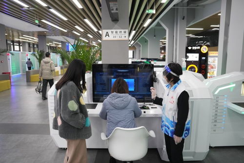 藍皮書 地方政府互聯網服務能力向好發展，彌合數字鴻溝是關鍵